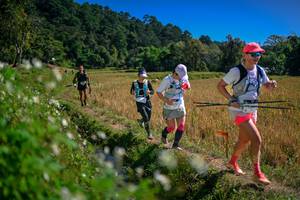 BIB: 
                            <button type="button" onclick="openModal(26624129)" class="btn btn-primary btn-sm float-right btn-popup" data-toggle="modal" data-target=".modal-high-quality">
                        <i class="fas fa-shopping-cart"></i> Add to Cart
                    </button>
                                            <button type="button" onclick="isThisMe(26624129, true)" class="btn btn-success btn-sm float-right btn-popup btn-isme hidden" data-toggle="tooltip" data-placement="bottom" title="นี่คือรูปของคุณใช่ไหม คลิกที่นี่เพื่อเอาเข้าอัลบั้ม">
                        <i class="fas fa-plus"></i> Add to album
                    </button>
                    <button type="button" onclick="isThisMe(26624129, false)" class="btn btn-warning btn-sm float-right btn-popup btn-isnotme hidden">
                        <i class="fas fa-ban"></i> Remove from album
                    </button>