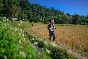 BIB: 
                            <button type="button" onclick="openModal(26624772)" class="btn btn-primary btn-sm float-right btn-popup" data-toggle="modal" data-target=".modal-high-quality">
                        <i class="fas fa-shopping-cart"></i> Add to Cart
                    </button>
                                            <button type="button" onclick="isThisMe(26624772, true)" class="btn btn-success btn-sm float-right btn-popup btn-isme hidden" data-toggle="tooltip" data-placement="bottom" title="นี่คือรูปของคุณใช่ไหม คลิกที่นี่เพื่อเอาเข้าอัลบั้ม">
                        <i class="fas fa-plus"></i> Add to album
                    </button>
                    <button type="button" onclick="isThisMe(26624772, false)" class="btn btn-warning btn-sm float-right btn-popup btn-isnotme hidden">
                        <i class="fas fa-ban"></i> Remove from album
                    </button>