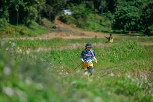 BIB: 
                            <button type="button" onclick="openModal(26770374)" class="btn btn-primary btn-sm float-right btn-popup" data-toggle="modal" data-target=".modal-high-quality">
                        <i class="fas fa-shopping-cart"></i> Add to Cart
                    </button>
                                            <button type="button" onclick="isThisMe(26770374, true)" class="btn btn-success btn-sm float-right btn-popup btn-isme hidden" data-toggle="tooltip" data-placement="bottom" title="นี่คือรูปของคุณใช่ไหม คลิกที่นี่เพื่อเอาเข้าอัลบั้ม">
                        <i class="fas fa-plus"></i> Add to album
                    </button>
                    <button type="button" onclick="isThisMe(26770374, false)" class="btn btn-warning btn-sm float-right btn-popup btn-isnotme hidden">
                        <i class="fas fa-ban"></i> Remove from album
                    </button>