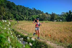 BIB: 
                            <button type="button" onclick="openModal(26632516)" class="btn btn-primary btn-sm float-right btn-popup" data-toggle="modal" data-target=".modal-high-quality">
                        <i class="fas fa-shopping-cart"></i> Add to Cart
                    </button>
                                            <button type="button" onclick="isThisMe(26632516, true)" class="btn btn-success btn-sm float-right btn-popup btn-isme hidden" data-toggle="tooltip" data-placement="bottom" title="นี่คือรูปของคุณใช่ไหม คลิกที่นี่เพื่อเอาเข้าอัลบั้ม">
                        <i class="fas fa-plus"></i> Add to album
                    </button>
                    <button type="button" onclick="isThisMe(26632516, false)" class="btn btn-warning btn-sm float-right btn-popup btn-isnotme hidden">
                        <i class="fas fa-ban"></i> Remove from album
                    </button>