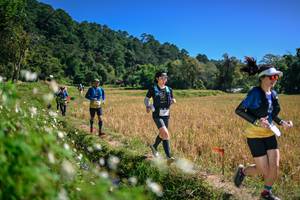 BIB: 
                            <button type="button" onclick="openModal(26633684)" class="btn btn-primary btn-sm float-right btn-popup" data-toggle="modal" data-target=".modal-high-quality">
                        <i class="fas fa-shopping-cart"></i> Add to Cart
                    </button>
                                            <button type="button" onclick="isThisMe(26633684, true)" class="btn btn-success btn-sm float-right btn-popup btn-isme hidden" data-toggle="tooltip" data-placement="bottom" title="นี่คือรูปของคุณใช่ไหม คลิกที่นี่เพื่อเอาเข้าอัลบั้ม">
                        <i class="fas fa-plus"></i> Add to album
                    </button>
                    <button type="button" onclick="isThisMe(26633684, false)" class="btn btn-warning btn-sm float-right btn-popup btn-isnotme hidden">
                        <i class="fas fa-ban"></i> Remove from album
                    </button>