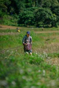 BIB: 
                            <button type="button" onclick="openModal(26770350)" class="btn btn-primary btn-sm float-right btn-popup" data-toggle="modal" data-target=".modal-high-quality">
                        <i class="fas fa-shopping-cart"></i> Add to Cart
                    </button>
                                            <button type="button" onclick="isThisMe(26770350, true)" class="btn btn-success btn-sm float-right btn-popup btn-isme hidden" data-toggle="tooltip" data-placement="bottom" title="นี่คือรูปของคุณใช่ไหม คลิกที่นี่เพื่อเอาเข้าอัลบั้ม">
                        <i class="fas fa-plus"></i> Add to album
                    </button>
                    <button type="button" onclick="isThisMe(26770350, false)" class="btn btn-warning btn-sm float-right btn-popup btn-isnotme hidden">
                        <i class="fas fa-ban"></i> Remove from album
                    </button>