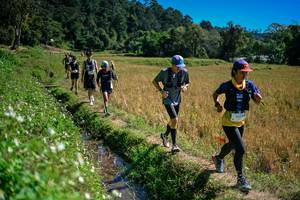 BIB: 
                            <button type="button" onclick="openModal(26624025)" class="btn btn-primary btn-sm float-right btn-popup" data-toggle="modal" data-target=".modal-high-quality">
                        <i class="fas fa-shopping-cart"></i> Add to Cart
                    </button>
                                            <button type="button" onclick="isThisMe(26624025, true)" class="btn btn-success btn-sm float-right btn-popup btn-isme hidden" data-toggle="tooltip" data-placement="bottom" title="นี่คือรูปของคุณใช่ไหม คลิกที่นี่เพื่อเอาเข้าอัลบั้ม">
                        <i class="fas fa-plus"></i> Add to album
                    </button>
                    <button type="button" onclick="isThisMe(26624025, false)" class="btn btn-warning btn-sm float-right btn-popup btn-isnotme hidden">
                        <i class="fas fa-ban"></i> Remove from album
                    </button>