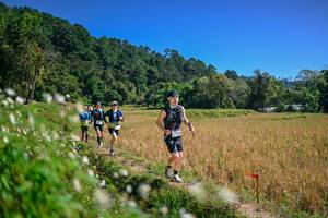 BIB: 
                            <button type="button" onclick="openModal(26633613)" class="btn btn-primary btn-sm float-right btn-popup" data-toggle="modal" data-target=".modal-high-quality">
                        <i class="fas fa-shopping-cart"></i> Add to Cart
                    </button>
                                            <button type="button" onclick="isThisMe(26633613, true)" class="btn btn-success btn-sm float-right btn-popup btn-isme hidden" data-toggle="tooltip" data-placement="bottom" title="นี่คือรูปของคุณใช่ไหม คลิกที่นี่เพื่อเอาเข้าอัลบั้ม">
                        <i class="fas fa-plus"></i> Add to album
                    </button>
                    <button type="button" onclick="isThisMe(26633613, false)" class="btn btn-warning btn-sm float-right btn-popup btn-isnotme hidden">
                        <i class="fas fa-ban"></i> Remove from album
                    </button>