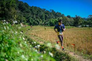 BIB: 
                            <button type="button" onclick="openModal(26624075)" class="btn btn-primary btn-sm float-right btn-popup" data-toggle="modal" data-target=".modal-high-quality">
                        <i class="fas fa-shopping-cart"></i> Add to Cart
                    </button>
                                            <button type="button" onclick="isThisMe(26624075, true)" class="btn btn-success btn-sm float-right btn-popup btn-isme hidden" data-toggle="tooltip" data-placement="bottom" title="นี่คือรูปของคุณใช่ไหม คลิกที่นี่เพื่อเอาเข้าอัลบั้ม">
                        <i class="fas fa-plus"></i> Add to album
                    </button>
                    <button type="button" onclick="isThisMe(26624075, false)" class="btn btn-warning btn-sm float-right btn-popup btn-isnotme hidden">
                        <i class="fas fa-ban"></i> Remove from album
                    </button>