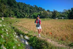 BIB: 
                            <button type="button" onclick="openModal(26632791)" class="btn btn-primary btn-sm float-right btn-popup" data-toggle="modal" data-target=".modal-high-quality">
                        <i class="fas fa-shopping-cart"></i> Add to Cart
                    </button>
                                            <button type="button" onclick="isThisMe(26632791, true)" class="btn btn-success btn-sm float-right btn-popup btn-isme hidden" data-toggle="tooltip" data-placement="bottom" title="นี่คือรูปของคุณใช่ไหม คลิกที่นี่เพื่อเอาเข้าอัลบั้ม">
                        <i class="fas fa-plus"></i> Add to album
                    </button>
                    <button type="button" onclick="isThisMe(26632791, false)" class="btn btn-warning btn-sm float-right btn-popup btn-isnotme hidden">
                        <i class="fas fa-ban"></i> Remove from album
                    </button>