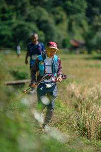 BIB: 
                            <button type="button" onclick="openModal(26669334)" class="btn btn-primary btn-sm float-right btn-popup" data-toggle="modal" data-target=".modal-high-quality">
                        <i class="fas fa-shopping-cart"></i> Add to Cart
                    </button>
                                            <button type="button" onclick="isThisMe(26669334, true)" class="btn btn-success btn-sm float-right btn-popup btn-isme hidden" data-toggle="tooltip" data-placement="bottom" title="นี่คือรูปของคุณใช่ไหม คลิกที่นี่เพื่อเอาเข้าอัลบั้ม">
                        <i class="fas fa-plus"></i> Add to album
                    </button>
                    <button type="button" onclick="isThisMe(26669334, false)" class="btn btn-warning btn-sm float-right btn-popup btn-isnotme hidden">
                        <i class="fas fa-ban"></i> Remove from album
                    </button>