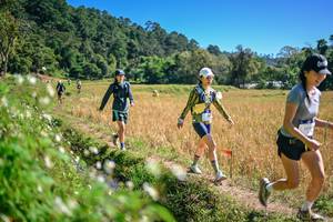 BIB: 
                            <button type="button" onclick="openModal(26632251)" class="btn btn-primary btn-sm float-right btn-popup" data-toggle="modal" data-target=".modal-high-quality">
                        <i class="fas fa-shopping-cart"></i> Add to Cart
                    </button>
                                            <button type="button" onclick="isThisMe(26632251, true)" class="btn btn-success btn-sm float-right btn-popup btn-isme hidden" data-toggle="tooltip" data-placement="bottom" title="นี่คือรูปของคุณใช่ไหม คลิกที่นี่เพื่อเอาเข้าอัลบั้ม">
                        <i class="fas fa-plus"></i> Add to album
                    </button>
                    <button type="button" onclick="isThisMe(26632251, false)" class="btn btn-warning btn-sm float-right btn-popup btn-isnotme hidden">
                        <i class="fas fa-ban"></i> Remove from album
                    </button>