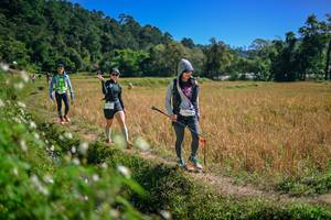 BIB: 
                            <button type="button" onclick="openModal(26631963)" class="btn btn-primary btn-sm float-right btn-popup" data-toggle="modal" data-target=".modal-high-quality">
                        <i class="fas fa-shopping-cart"></i> Add to Cart
                    </button>
                                            <button type="button" onclick="isThisMe(26631963, true)" class="btn btn-success btn-sm float-right btn-popup btn-isme hidden" data-toggle="tooltip" data-placement="bottom" title="นี่คือรูปของคุณใช่ไหม คลิกที่นี่เพื่อเอาเข้าอัลบั้ม">
                        <i class="fas fa-plus"></i> Add to album
                    </button>
                    <button type="button" onclick="isThisMe(26631963, false)" class="btn btn-warning btn-sm float-right btn-popup btn-isnotme hidden">
                        <i class="fas fa-ban"></i> Remove from album
                    </button>