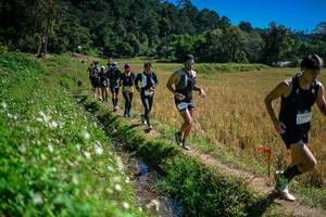 BIB: 
                            <button type="button" onclick="openModal(26624001)" class="btn btn-primary btn-sm float-right btn-popup" data-toggle="modal" data-target=".modal-high-quality">
                        <i class="fas fa-shopping-cart"></i> Add to Cart
                    </button>
                                            <button type="button" onclick="isThisMe(26624001, true)" class="btn btn-success btn-sm float-right btn-popup btn-isme hidden" data-toggle="tooltip" data-placement="bottom" title="นี่คือรูปของคุณใช่ไหม คลิกที่นี่เพื่อเอาเข้าอัลบั้ม">
                        <i class="fas fa-plus"></i> Add to album
                    </button>
                    <button type="button" onclick="isThisMe(26624001, false)" class="btn btn-warning btn-sm float-right btn-popup btn-isnotme hidden">
                        <i class="fas fa-ban"></i> Remove from album
                    </button>