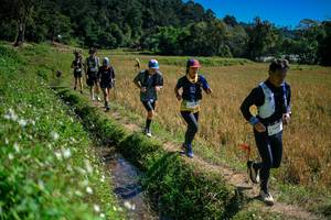 BIB: 
                            <button type="button" onclick="openModal(26624019)" class="btn btn-primary btn-sm float-right btn-popup" data-toggle="modal" data-target=".modal-high-quality">
                        <i class="fas fa-shopping-cart"></i> Add to Cart
                    </button>
                                            <button type="button" onclick="isThisMe(26624019, true)" class="btn btn-success btn-sm float-right btn-popup btn-isme hidden" data-toggle="tooltip" data-placement="bottom" title="นี่คือรูปของคุณใช่ไหม คลิกที่นี่เพื่อเอาเข้าอัลบั้ม">
                        <i class="fas fa-plus"></i> Add to album
                    </button>
                    <button type="button" onclick="isThisMe(26624019, false)" class="btn btn-warning btn-sm float-right btn-popup btn-isnotme hidden">
                        <i class="fas fa-ban"></i> Remove from album
                    </button>