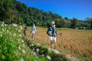 BIB: 
                            <button type="button" onclick="openModal(26633801)" class="btn btn-primary btn-sm float-right btn-popup" data-toggle="modal" data-target=".modal-high-quality">
                        <i class="fas fa-shopping-cart"></i> Add to Cart
                    </button>
                                            <button type="button" onclick="isThisMe(26633801, true)" class="btn btn-success btn-sm float-right btn-popup btn-isme hidden" data-toggle="tooltip" data-placement="bottom" title="นี่คือรูปของคุณใช่ไหม คลิกที่นี่เพื่อเอาเข้าอัลบั้ม">
                        <i class="fas fa-plus"></i> Add to album
                    </button>
                    <button type="button" onclick="isThisMe(26633801, false)" class="btn btn-warning btn-sm float-right btn-popup btn-isnotme hidden">
                        <i class="fas fa-ban"></i> Remove from album
                    </button>