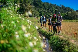 BIB: 
                            <button type="button" onclick="openModal(26623776)" class="btn btn-primary btn-sm float-right btn-popup" data-toggle="modal" data-target=".modal-high-quality">
                        <i class="fas fa-shopping-cart"></i> Add to Cart
                    </button>
                                            <button type="button" onclick="isThisMe(26623776, true)" class="btn btn-success btn-sm float-right btn-popup btn-isme hidden" data-toggle="tooltip" data-placement="bottom" title="นี่คือรูปของคุณใช่ไหม คลิกที่นี่เพื่อเอาเข้าอัลบั้ม">
                        <i class="fas fa-plus"></i> Add to album
                    </button>
                    <button type="button" onclick="isThisMe(26623776, false)" class="btn btn-warning btn-sm float-right btn-popup btn-isnotme hidden">
                        <i class="fas fa-ban"></i> Remove from album
                    </button>