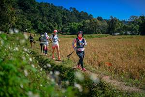 BIB: 
                            <button type="button" onclick="openModal(26624103)" class="btn btn-primary btn-sm float-right btn-popup" data-toggle="modal" data-target=".modal-high-quality">
                        <i class="fas fa-shopping-cart"></i> Add to Cart
                    </button>
                                            <button type="button" onclick="isThisMe(26624103, true)" class="btn btn-success btn-sm float-right btn-popup btn-isme hidden" data-toggle="tooltip" data-placement="bottom" title="นี่คือรูปของคุณใช่ไหม คลิกที่นี่เพื่อเอาเข้าอัลบั้ม">
                        <i class="fas fa-plus"></i> Add to album
                    </button>
                    <button type="button" onclick="isThisMe(26624103, false)" class="btn btn-warning btn-sm float-right btn-popup btn-isnotme hidden">
                        <i class="fas fa-ban"></i> Remove from album
                    </button>