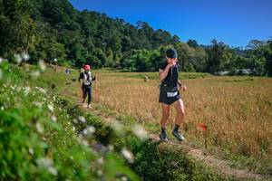 BIB: 
                            <button type="button" onclick="openModal(26624768)" class="btn btn-primary btn-sm float-right btn-popup" data-toggle="modal" data-target=".modal-high-quality">
                        <i class="fas fa-shopping-cart"></i> Add to Cart
                    </button>
                                            <button type="button" onclick="isThisMe(26624768, true)" class="btn btn-success btn-sm float-right btn-popup btn-isme hidden" data-toggle="tooltip" data-placement="bottom" title="นี่คือรูปของคุณใช่ไหม คลิกที่นี่เพื่อเอาเข้าอัลบั้ม">
                        <i class="fas fa-plus"></i> Add to album
                    </button>
                    <button type="button" onclick="isThisMe(26624768, false)" class="btn btn-warning btn-sm float-right btn-popup btn-isnotme hidden">
                        <i class="fas fa-ban"></i> Remove from album
                    </button>