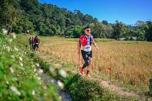 BIB: 
                            <button type="button" onclick="openModal(26631631)" class="btn btn-primary btn-sm float-right btn-popup" data-toggle="modal" data-target=".modal-high-quality">
                        <i class="fas fa-shopping-cart"></i> Add to Cart
                    </button>
                                            <button type="button" onclick="isThisMe(26631631, true)" class="btn btn-success btn-sm float-right btn-popup btn-isme hidden" data-toggle="tooltip" data-placement="bottom" title="นี่คือรูปของคุณใช่ไหม คลิกที่นี่เพื่อเอาเข้าอัลบั้ม">
                        <i class="fas fa-plus"></i> Add to album
                    </button>
                    <button type="button" onclick="isThisMe(26631631, false)" class="btn btn-warning btn-sm float-right btn-popup btn-isnotme hidden">
                        <i class="fas fa-ban"></i> Remove from album
                    </button>