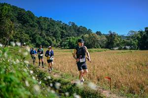 BIB: 
                            <button type="button" onclick="openModal(26633626)" class="btn btn-primary btn-sm float-right btn-popup" data-toggle="modal" data-target=".modal-high-quality">
                        <i class="fas fa-shopping-cart"></i> Add to Cart
                    </button>
                                            <button type="button" onclick="isThisMe(26633626, true)" class="btn btn-success btn-sm float-right btn-popup btn-isme hidden" data-toggle="tooltip" data-placement="bottom" title="นี่คือรูปของคุณใช่ไหม คลิกที่นี่เพื่อเอาเข้าอัลบั้ม">
                        <i class="fas fa-plus"></i> Add to album
                    </button>
                    <button type="button" onclick="isThisMe(26633626, false)" class="btn btn-warning btn-sm float-right btn-popup btn-isnotme hidden">
                        <i class="fas fa-ban"></i> Remove from album
                    </button>