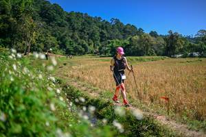 BIB: 
                            <button type="button" onclick="openModal(26632404)" class="btn btn-primary btn-sm float-right btn-popup" data-toggle="modal" data-target=".modal-high-quality">
                        <i class="fas fa-shopping-cart"></i> Add to Cart
                    </button>
                                            <button type="button" onclick="isThisMe(26632404, true)" class="btn btn-success btn-sm float-right btn-popup btn-isme hidden" data-toggle="tooltip" data-placement="bottom" title="นี่คือรูปของคุณใช่ไหม คลิกที่นี่เพื่อเอาเข้าอัลบั้ม">
                        <i class="fas fa-plus"></i> Add to album
                    </button>
                    <button type="button" onclick="isThisMe(26632404, false)" class="btn btn-warning btn-sm float-right btn-popup btn-isnotme hidden">
                        <i class="fas fa-ban"></i> Remove from album
                    </button>