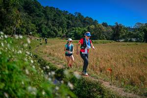 BIB: 
                            <button type="button" onclick="openModal(26624519)" class="btn btn-primary btn-sm float-right btn-popup" data-toggle="modal" data-target=".modal-high-quality">
                        <i class="fas fa-shopping-cart"></i> Add to Cart
                    </button>
                                            <button type="button" onclick="isThisMe(26624519, true)" class="btn btn-success btn-sm float-right btn-popup btn-isme hidden" data-toggle="tooltip" data-placement="bottom" title="นี่คือรูปของคุณใช่ไหม คลิกที่นี่เพื่อเอาเข้าอัลบั้ม">
                        <i class="fas fa-plus"></i> Add to album
                    </button>
                    <button type="button" onclick="isThisMe(26624519, false)" class="btn btn-warning btn-sm float-right btn-popup btn-isnotme hidden">
                        <i class="fas fa-ban"></i> Remove from album
                    </button>