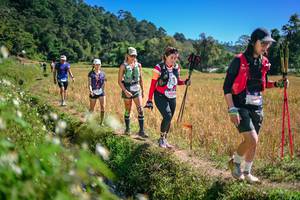 BIB: 
                            <button type="button" onclick="openModal(26631665)" class="btn btn-primary btn-sm float-right btn-popup" data-toggle="modal" data-target=".modal-high-quality">
                        <i class="fas fa-shopping-cart"></i> Add to Cart
                    </button>
                                            <button type="button" onclick="isThisMe(26631665, true)" class="btn btn-success btn-sm float-right btn-popup btn-isme hidden" data-toggle="tooltip" data-placement="bottom" title="นี่คือรูปของคุณใช่ไหม คลิกที่นี่เพื่อเอาเข้าอัลบั้ม">
                        <i class="fas fa-plus"></i> Add to album
                    </button>
                    <button type="button" onclick="isThisMe(26631665, false)" class="btn btn-warning btn-sm float-right btn-popup btn-isnotme hidden">
                        <i class="fas fa-ban"></i> Remove from album
                    </button>