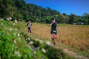 BIB: 
                            <button type="button" onclick="openModal(26624764)" class="btn btn-primary btn-sm float-right btn-popup" data-toggle="modal" data-target=".modal-high-quality">
                        <i class="fas fa-shopping-cart"></i> Add to Cart
                    </button>
                                            <button type="button" onclick="isThisMe(26624764, true)" class="btn btn-success btn-sm float-right btn-popup btn-isme hidden" data-toggle="tooltip" data-placement="bottom" title="นี่คือรูปของคุณใช่ไหม คลิกที่นี่เพื่อเอาเข้าอัลบั้ม">
                        <i class="fas fa-plus"></i> Add to album
                    </button>
                    <button type="button" onclick="isThisMe(26624764, false)" class="btn btn-warning btn-sm float-right btn-popup btn-isnotme hidden">
                        <i class="fas fa-ban"></i> Remove from album
                    </button>