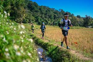 BIB: 
                            <button type="button" onclick="openModal(26623794)" class="btn btn-primary btn-sm float-right btn-popup" data-toggle="modal" data-target=".modal-high-quality">
                        <i class="fas fa-shopping-cart"></i> Add to Cart
                    </button>
                                            <button type="button" onclick="isThisMe(26623794, true)" class="btn btn-success btn-sm float-right btn-popup btn-isme hidden" data-toggle="tooltip" data-placement="bottom" title="นี่คือรูปของคุณใช่ไหม คลิกที่นี่เพื่อเอาเข้าอัลบั้ม">
                        <i class="fas fa-plus"></i> Add to album
                    </button>
                    <button type="button" onclick="isThisMe(26623794, false)" class="btn btn-warning btn-sm float-right btn-popup btn-isnotme hidden">
                        <i class="fas fa-ban"></i> Remove from album
                    </button>