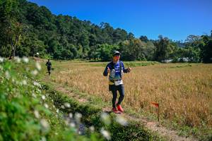 BIB: 
                            <button type="button" onclick="openModal(26633462)" class="btn btn-primary btn-sm float-right btn-popup" data-toggle="modal" data-target=".modal-high-quality">
                        <i class="fas fa-shopping-cart"></i> Add to Cart
                    </button>
                                            <button type="button" onclick="isThisMe(26633462, true)" class="btn btn-success btn-sm float-right btn-popup btn-isme hidden" data-toggle="tooltip" data-placement="bottom" title="นี่คือรูปของคุณใช่ไหม คลิกที่นี่เพื่อเอาเข้าอัลบั้ม">
                        <i class="fas fa-plus"></i> Add to album
                    </button>
                    <button type="button" onclick="isThisMe(26633462, false)" class="btn btn-warning btn-sm float-right btn-popup btn-isnotme hidden">
                        <i class="fas fa-ban"></i> Remove from album
                    </button>