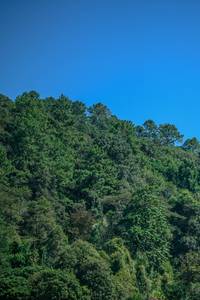 BIB: 
                            <button type="button" onclick="openModal(26770320)" class="btn btn-primary btn-sm float-right btn-popup" data-toggle="modal" data-target=".modal-high-quality">
                        <i class="fas fa-shopping-cart"></i> Add to Cart
                    </button>
                                            <button type="button" onclick="isThisMe(26770320, true)" class="btn btn-success btn-sm float-right btn-popup btn-isme hidden" data-toggle="tooltip" data-placement="bottom" title="นี่คือรูปของคุณใช่ไหม คลิกที่นี่เพื่อเอาเข้าอัลบั้ม">
                        <i class="fas fa-plus"></i> Add to album
                    </button>
                    <button type="button" onclick="isThisMe(26770320, false)" class="btn btn-warning btn-sm float-right btn-popup btn-isnotme hidden">
                        <i class="fas fa-ban"></i> Remove from album
                    </button>