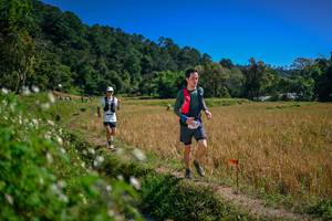 BIB: 
                            <button type="button" onclick="openModal(26624442)" class="btn btn-primary btn-sm float-right btn-popup" data-toggle="modal" data-target=".modal-high-quality">
                        <i class="fas fa-shopping-cart"></i> Add to Cart
                    </button>
                                            <button type="button" onclick="isThisMe(26624442, true)" class="btn btn-success btn-sm float-right btn-popup btn-isme hidden" data-toggle="tooltip" data-placement="bottom" title="นี่คือรูปของคุณใช่ไหม คลิกที่นี่เพื่อเอาเข้าอัลบั้ม">
                        <i class="fas fa-plus"></i> Add to album
                    </button>
                    <button type="button" onclick="isThisMe(26624442, false)" class="btn btn-warning btn-sm float-right btn-popup btn-isnotme hidden">
                        <i class="fas fa-ban"></i> Remove from album
                    </button>