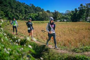 BIB: 
                            <button type="button" onclick="openModal(26631965)" class="btn btn-primary btn-sm float-right btn-popup" data-toggle="modal" data-target=".modal-high-quality">
                        <i class="fas fa-shopping-cart"></i> Add to Cart
                    </button>
                                            <button type="button" onclick="isThisMe(26631965, true)" class="btn btn-success btn-sm float-right btn-popup btn-isme hidden" data-toggle="tooltip" data-placement="bottom" title="นี่คือรูปของคุณใช่ไหม คลิกที่นี่เพื่อเอาเข้าอัลบั้ม">
                        <i class="fas fa-plus"></i> Add to album
                    </button>
                    <button type="button" onclick="isThisMe(26631965, false)" class="btn btn-warning btn-sm float-right btn-popup btn-isnotme hidden">
                        <i class="fas fa-ban"></i> Remove from album
                    </button>