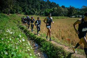 BIB: 
                            <button type="button" onclick="openModal(26624006)" class="btn btn-primary btn-sm float-right btn-popup" data-toggle="modal" data-target=".modal-high-quality">
                        <i class="fas fa-shopping-cart"></i> Add to Cart
                    </button>
                                            <button type="button" onclick="isThisMe(26624006, true)" class="btn btn-success btn-sm float-right btn-popup btn-isme hidden" data-toggle="tooltip" data-placement="bottom" title="นี่คือรูปของคุณใช่ไหม คลิกที่นี่เพื่อเอาเข้าอัลบั้ม">
                        <i class="fas fa-plus"></i> Add to album
                    </button>
                    <button type="button" onclick="isThisMe(26624006, false)" class="btn btn-warning btn-sm float-right btn-popup btn-isnotme hidden">
                        <i class="fas fa-ban"></i> Remove from album
                    </button>