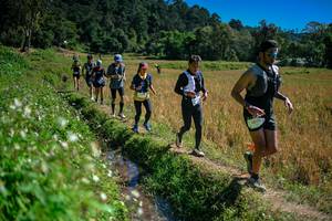 BIB: 
                            <button type="button" onclick="openModal(26624010)" class="btn btn-primary btn-sm float-right btn-popup" data-toggle="modal" data-target=".modal-high-quality">
                        <i class="fas fa-shopping-cart"></i> Add to Cart
                    </button>
                                            <button type="button" onclick="isThisMe(26624010, true)" class="btn btn-success btn-sm float-right btn-popup btn-isme hidden" data-toggle="tooltip" data-placement="bottom" title="นี่คือรูปของคุณใช่ไหม คลิกที่นี่เพื่อเอาเข้าอัลบั้ม">
                        <i class="fas fa-plus"></i> Add to album
                    </button>
                    <button type="button" onclick="isThisMe(26624010, false)" class="btn btn-warning btn-sm float-right btn-popup btn-isnotme hidden">
                        <i class="fas fa-ban"></i> Remove from album
                    </button>