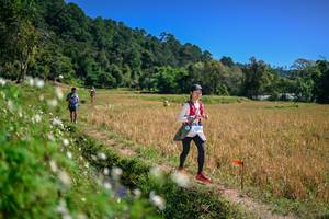 BIB: 
                            <button type="button" onclick="openModal(26633877)" class="btn btn-primary btn-sm float-right btn-popup" data-toggle="modal" data-target=".modal-high-quality">
                        <i class="fas fa-shopping-cart"></i> Add to Cart
                    </button>
                                            <button type="button" onclick="isThisMe(26633877, true)" class="btn btn-success btn-sm float-right btn-popup btn-isme hidden" data-toggle="tooltip" data-placement="bottom" title="นี่คือรูปของคุณใช่ไหม คลิกที่นี่เพื่อเอาเข้าอัลบั้ม">
                        <i class="fas fa-plus"></i> Add to album
                    </button>
                    <button type="button" onclick="isThisMe(26633877, false)" class="btn btn-warning btn-sm float-right btn-popup btn-isnotme hidden">
                        <i class="fas fa-ban"></i> Remove from album
                    </button>