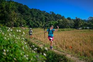 BIB: 
                            <button type="button" onclick="openModal(26624162)" class="btn btn-primary btn-sm float-right btn-popup" data-toggle="modal" data-target=".modal-high-quality">
                        <i class="fas fa-shopping-cart"></i> Add to Cart
                    </button>
                                            <button type="button" onclick="isThisMe(26624162, true)" class="btn btn-success btn-sm float-right btn-popup btn-isme hidden" data-toggle="tooltip" data-placement="bottom" title="นี่คือรูปของคุณใช่ไหม คลิกที่นี่เพื่อเอาเข้าอัลบั้ม">
                        <i class="fas fa-plus"></i> Add to album
                    </button>
                    <button type="button" onclick="isThisMe(26624162, false)" class="btn btn-warning btn-sm float-right btn-popup btn-isnotme hidden">
                        <i class="fas fa-ban"></i> Remove from album
                    </button>