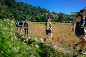 BIB: 
                            <button type="button" onclick="openModal(26631919)" class="btn btn-primary btn-sm float-right btn-popup" data-toggle="modal" data-target=".modal-high-quality">
                        <i class="fas fa-shopping-cart"></i> Add to Cart
                    </button>
                                            <button type="button" onclick="isThisMe(26631919, true)" class="btn btn-success btn-sm float-right btn-popup btn-isme hidden" data-toggle="tooltip" data-placement="bottom" title="นี่คือรูปของคุณใช่ไหม คลิกที่นี่เพื่อเอาเข้าอัลบั้ม">
                        <i class="fas fa-plus"></i> Add to album
                    </button>
                    <button type="button" onclick="isThisMe(26631919, false)" class="btn btn-warning btn-sm float-right btn-popup btn-isnotme hidden">
                        <i class="fas fa-ban"></i> Remove from album
                    </button>