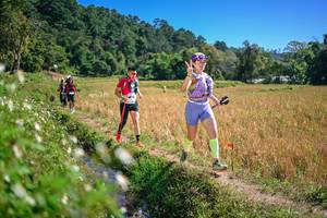 BIB: 
                            <button type="button" onclick="openModal(26631598)" class="btn btn-primary btn-sm float-right btn-popup" data-toggle="modal" data-target=".modal-high-quality">
                        <i class="fas fa-shopping-cart"></i> Add to Cart
                    </button>
                                            <button type="button" onclick="isThisMe(26631598, true)" class="btn btn-success btn-sm float-right btn-popup btn-isme hidden" data-toggle="tooltip" data-placement="bottom" title="นี่คือรูปของคุณใช่ไหม คลิกที่นี่เพื่อเอาเข้าอัลบั้ม">
                        <i class="fas fa-plus"></i> Add to album
                    </button>
                    <button type="button" onclick="isThisMe(26631598, false)" class="btn btn-warning btn-sm float-right btn-popup btn-isnotme hidden">
                        <i class="fas fa-ban"></i> Remove from album
                    </button>