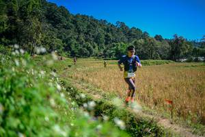 BIB: 
                            <button type="button" onclick="openModal(26624077)" class="btn btn-primary btn-sm float-right btn-popup" data-toggle="modal" data-target=".modal-high-quality">
                        <i class="fas fa-shopping-cart"></i> Add to Cart
                    </button>
                                            <button type="button" onclick="isThisMe(26624077, true)" class="btn btn-success btn-sm float-right btn-popup btn-isme hidden" data-toggle="tooltip" data-placement="bottom" title="นี่คือรูปของคุณใช่ไหม คลิกที่นี่เพื่อเอาเข้าอัลบั้ม">
                        <i class="fas fa-plus"></i> Add to album
                    </button>
                    <button type="button" onclick="isThisMe(26624077, false)" class="btn btn-warning btn-sm float-right btn-popup btn-isnotme hidden">
                        <i class="fas fa-ban"></i> Remove from album
                    </button>