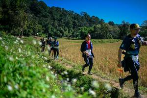 BIB: 
                            <button type="button" onclick="openModal(26623955)" class="btn btn-primary btn-sm float-right btn-popup" data-toggle="modal" data-target=".modal-high-quality">
                        <i class="fas fa-shopping-cart"></i> Add to Cart
                    </button>
                                            <button type="button" onclick="isThisMe(26623955, true)" class="btn btn-success btn-sm float-right btn-popup btn-isme hidden" data-toggle="tooltip" data-placement="bottom" title="นี่คือรูปของคุณใช่ไหม คลิกที่นี่เพื่อเอาเข้าอัลบั้ม">
                        <i class="fas fa-plus"></i> Add to album
                    </button>
                    <button type="button" onclick="isThisMe(26623955, false)" class="btn btn-warning btn-sm float-right btn-popup btn-isnotme hidden">
                        <i class="fas fa-ban"></i> Remove from album
                    </button>