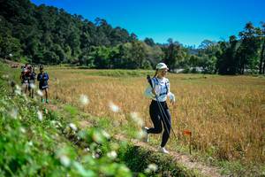 BIB: 
                            <button type="button" onclick="openModal(26623896)" class="btn btn-primary btn-sm float-right btn-popup" data-toggle="modal" data-target=".modal-high-quality">
                        <i class="fas fa-shopping-cart"></i> Add to Cart
                    </button>
                                            <button type="button" onclick="isThisMe(26623896, true)" class="btn btn-success btn-sm float-right btn-popup btn-isme hidden" data-toggle="tooltip" data-placement="bottom" title="นี่คือรูปของคุณใช่ไหม คลิกที่นี่เพื่อเอาเข้าอัลบั้ม">
                        <i class="fas fa-plus"></i> Add to album
                    </button>
                    <button type="button" onclick="isThisMe(26623896, false)" class="btn btn-warning btn-sm float-right btn-popup btn-isnotme hidden">
                        <i class="fas fa-ban"></i> Remove from album
                    </button>