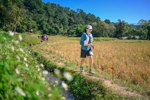 BIB: 
                            <button type="button" onclick="openModal(26631569)" class="btn btn-primary btn-sm float-right btn-popup" data-toggle="modal" data-target=".modal-high-quality">
                        <i class="fas fa-shopping-cart"></i> Add to Cart
                    </button>
                                            <button type="button" onclick="isThisMe(26631569, true)" class="btn btn-success btn-sm float-right btn-popup btn-isme hidden" data-toggle="tooltip" data-placement="bottom" title="นี่คือรูปของคุณใช่ไหม คลิกที่นี่เพื่อเอาเข้าอัลบั้ม">
                        <i class="fas fa-plus"></i> Add to album
                    </button>
                    <button type="button" onclick="isThisMe(26631569, false)" class="btn btn-warning btn-sm float-right btn-popup btn-isnotme hidden">
                        <i class="fas fa-ban"></i> Remove from album
                    </button>