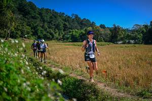 BIB: 
                            <button type="button" onclick="openModal(26624230)" class="btn btn-primary btn-sm float-right btn-popup" data-toggle="modal" data-target=".modal-high-quality">
                        <i class="fas fa-shopping-cart"></i> Add to Cart
                    </button>
                                            <button type="button" onclick="isThisMe(26624230, true)" class="btn btn-success btn-sm float-right btn-popup btn-isme hidden" data-toggle="tooltip" data-placement="bottom" title="นี่คือรูปของคุณใช่ไหม คลิกที่นี่เพื่อเอาเข้าอัลบั้ม">
                        <i class="fas fa-plus"></i> Add to album
                    </button>
                    <button type="button" onclick="isThisMe(26624230, false)" class="btn btn-warning btn-sm float-right btn-popup btn-isnotme hidden">
                        <i class="fas fa-ban"></i> Remove from album
                    </button>