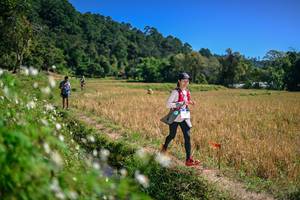 BIB: 
                            <button type="button" onclick="openModal(26633883)" class="btn btn-primary btn-sm float-right btn-popup" data-toggle="modal" data-target=".modal-high-quality">
                        <i class="fas fa-shopping-cart"></i> Add to Cart
                    </button>
                                            <button type="button" onclick="isThisMe(26633883, true)" class="btn btn-success btn-sm float-right btn-popup btn-isme hidden" data-toggle="tooltip" data-placement="bottom" title="นี่คือรูปของคุณใช่ไหม คลิกที่นี่เพื่อเอาเข้าอัลบั้ม">
                        <i class="fas fa-plus"></i> Add to album
                    </button>
                    <button type="button" onclick="isThisMe(26633883, false)" class="btn btn-warning btn-sm float-right btn-popup btn-isnotme hidden">
                        <i class="fas fa-ban"></i> Remove from album
                    </button>