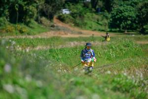 BIB: 
                            <button type="button" onclick="openModal(26770378)" class="btn btn-primary btn-sm float-right btn-popup" data-toggle="modal" data-target=".modal-high-quality">
                        <i class="fas fa-shopping-cart"></i> Add to Cart
                    </button>
                                            <button type="button" onclick="isThisMe(26770378, true)" class="btn btn-success btn-sm float-right btn-popup btn-isme hidden" data-toggle="tooltip" data-placement="bottom" title="นี่คือรูปของคุณใช่ไหม คลิกที่นี่เพื่อเอาเข้าอัลบั้ม">
                        <i class="fas fa-plus"></i> Add to album
                    </button>
                    <button type="button" onclick="isThisMe(26770378, false)" class="btn btn-warning btn-sm float-right btn-popup btn-isnotme hidden">
                        <i class="fas fa-ban"></i> Remove from album
                    </button>