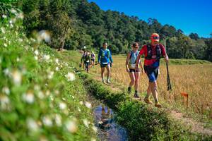 BIB: 
                            <button type="button" onclick="openModal(26623762)" class="btn btn-primary btn-sm float-right btn-popup" data-toggle="modal" data-target=".modal-high-quality">
                        <i class="fas fa-shopping-cart"></i> Add to Cart
                    </button>
                                            <button type="button" onclick="isThisMe(26623762, true)" class="btn btn-success btn-sm float-right btn-popup btn-isme hidden" data-toggle="tooltip" data-placement="bottom" title="นี่คือรูปของคุณใช่ไหม คลิกที่นี่เพื่อเอาเข้าอัลบั้ม">
                        <i class="fas fa-plus"></i> Add to album
                    </button>
                    <button type="button" onclick="isThisMe(26623762, false)" class="btn btn-warning btn-sm float-right btn-popup btn-isnotme hidden">
                        <i class="fas fa-ban"></i> Remove from album
                    </button>