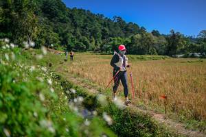 BIB: 
                            <button type="button" onclick="openModal(26624773)" class="btn btn-primary btn-sm float-right btn-popup" data-toggle="modal" data-target=".modal-high-quality">
                        <i class="fas fa-shopping-cart"></i> Add to Cart
                    </button>
                                            <button type="button" onclick="isThisMe(26624773, true)" class="btn btn-success btn-sm float-right btn-popup btn-isme hidden" data-toggle="tooltip" data-placement="bottom" title="นี่คือรูปของคุณใช่ไหม คลิกที่นี่เพื่อเอาเข้าอัลบั้ม">
                        <i class="fas fa-plus"></i> Add to album
                    </button>
                    <button type="button" onclick="isThisMe(26624773, false)" class="btn btn-warning btn-sm float-right btn-popup btn-isnotme hidden">
                        <i class="fas fa-ban"></i> Remove from album
                    </button>