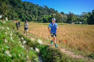 BIB: 
                            <button type="button" onclick="openModal(26631799)" class="btn btn-primary btn-sm float-right btn-popup" data-toggle="modal" data-target=".modal-high-quality">
                        <i class="fas fa-shopping-cart"></i> Add to Cart
                    </button>
                                            <button type="button" onclick="isThisMe(26631799, true)" class="btn btn-success btn-sm float-right btn-popup btn-isme hidden" data-toggle="tooltip" data-placement="bottom" title="นี่คือรูปของคุณใช่ไหม คลิกที่นี่เพื่อเอาเข้าอัลบั้ม">
                        <i class="fas fa-plus"></i> Add to album
                    </button>
                    <button type="button" onclick="isThisMe(26631799, false)" class="btn btn-warning btn-sm float-right btn-popup btn-isnotme hidden">
                        <i class="fas fa-ban"></i> Remove from album
                    </button>