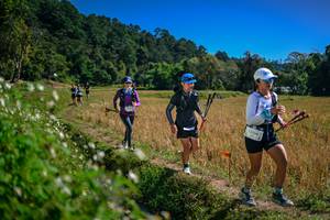 BIB: 
                            <button type="button" onclick="openModal(26624242)" class="btn btn-primary btn-sm float-right btn-popup" data-toggle="modal" data-target=".modal-high-quality">
                        <i class="fas fa-shopping-cart"></i> Add to Cart
                    </button>
                                            <button type="button" onclick="isThisMe(26624242, true)" class="btn btn-success btn-sm float-right btn-popup btn-isme hidden" data-toggle="tooltip" data-placement="bottom" title="นี่คือรูปของคุณใช่ไหม คลิกที่นี่เพื่อเอาเข้าอัลบั้ม">
                        <i class="fas fa-plus"></i> Add to album
                    </button>
                    <button type="button" onclick="isThisMe(26624242, false)" class="btn btn-warning btn-sm float-right btn-popup btn-isnotme hidden">
                        <i class="fas fa-ban"></i> Remove from album
                    </button>