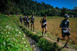 BIB: 
                            <button type="button" onclick="openModal(26623991)" class="btn btn-primary btn-sm float-right btn-popup" data-toggle="modal" data-target=".modal-high-quality">
                        <i class="fas fa-shopping-cart"></i> Add to Cart
                    </button>
                                            <button type="button" onclick="isThisMe(26623991, true)" class="btn btn-success btn-sm float-right btn-popup btn-isme hidden" data-toggle="tooltip" data-placement="bottom" title="นี่คือรูปของคุณใช่ไหม คลิกที่นี่เพื่อเอาเข้าอัลบั้ม">
                        <i class="fas fa-plus"></i> Add to album
                    </button>
                    <button type="button" onclick="isThisMe(26623991, false)" class="btn btn-warning btn-sm float-right btn-popup btn-isnotme hidden">
                        <i class="fas fa-ban"></i> Remove from album
                    </button>