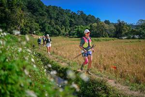 BIB: 
                            <button type="button" onclick="openModal(26624702)" class="btn btn-primary btn-sm float-right btn-popup" data-toggle="modal" data-target=".modal-high-quality">
                        <i class="fas fa-shopping-cart"></i> Add to Cart
                    </button>
                                            <button type="button" onclick="isThisMe(26624702, true)" class="btn btn-success btn-sm float-right btn-popup btn-isme hidden" data-toggle="tooltip" data-placement="bottom" title="นี่คือรูปของคุณใช่ไหม คลิกที่นี่เพื่อเอาเข้าอัลบั้ม">
                        <i class="fas fa-plus"></i> Add to album
                    </button>
                    <button type="button" onclick="isThisMe(26624702, false)" class="btn btn-warning btn-sm float-right btn-popup btn-isnotme hidden">
                        <i class="fas fa-ban"></i> Remove from album
                    </button>