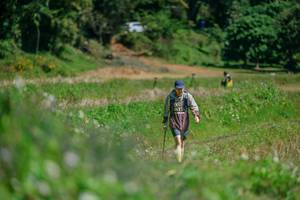 BIB: 
                            <button type="button" onclick="openModal(26770344)" class="btn btn-primary btn-sm float-right btn-popup" data-toggle="modal" data-target=".modal-high-quality">
                        <i class="fas fa-shopping-cart"></i> Add to Cart
                    </button>
                                            <button type="button" onclick="isThisMe(26770344, true)" class="btn btn-success btn-sm float-right btn-popup btn-isme hidden" data-toggle="tooltip" data-placement="bottom" title="นี่คือรูปของคุณใช่ไหม คลิกที่นี่เพื่อเอาเข้าอัลบั้ม">
                        <i class="fas fa-plus"></i> Add to album
                    </button>
                    <button type="button" onclick="isThisMe(26770344, false)" class="btn btn-warning btn-sm float-right btn-popup btn-isnotme hidden">
                        <i class="fas fa-ban"></i> Remove from album
                    </button>